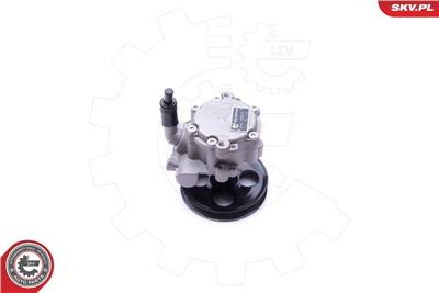 ESEN SKV 10SKV251 EAN: 5901947373194.