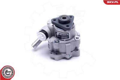 ESEN SKV 10SKV291 EAN: 5903968427429.