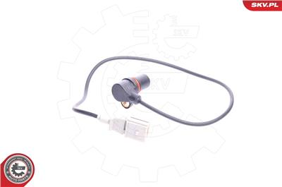 ESEN SKV 17SKV213 EAN: 5901947303542.