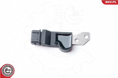 ESEN SKV 17SKV250 EAN: 5901947322987.