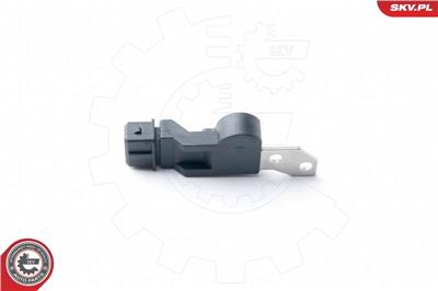 ESEN SKV 17SKV250 EAN: 5901947322987.