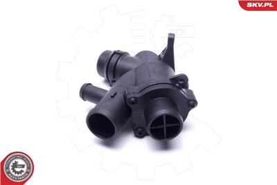 ESEN SKV 20SKV169 EAN: 5903968446123.