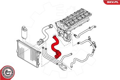 ESEN SKV 24SKV202 EAN: 5901947332849.