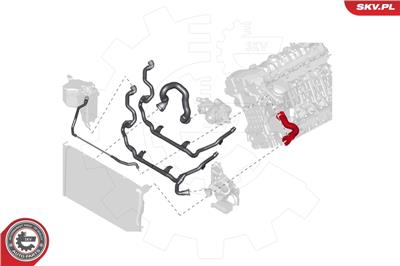 ESEN SKV 24SKV279 EAN: 5901947356340.