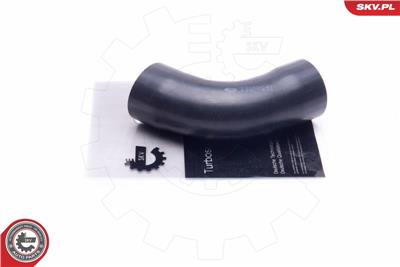 ESEN SKV 24SKV547 EAN: 5903968420734.