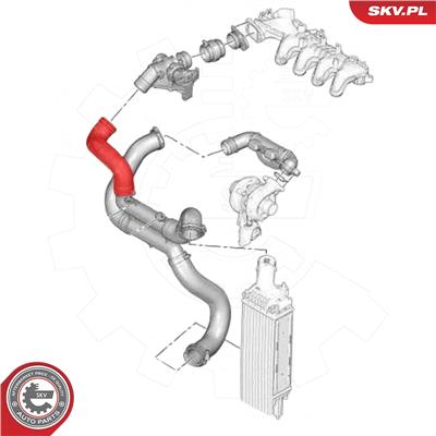 ESEN SKV 24SKV563 EAN: 5903968420895.