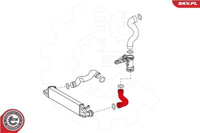 ESEN SKV 24SKV619 EAN: 5901947355381.