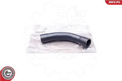 ESEN SKV 24SKV651 EAN: 5901947355701.