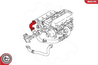 ESEN SKV 24SKV805 EAN: 5901947362457.