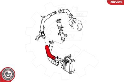 ESEN SKV 24SKV988 EAN: 5901947371770.