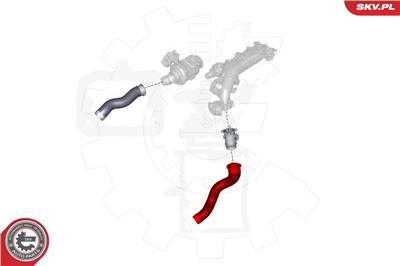 ESEN SKV 24SKV991 EAN: 5901947371800.