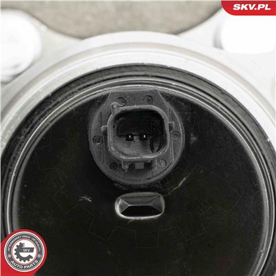 ESEN SKV 29SKV662 EAN: 5906302212583.