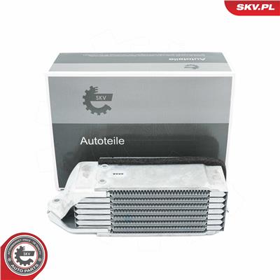 ESEN SKV 31SKV210 EAN: 5903968453428.