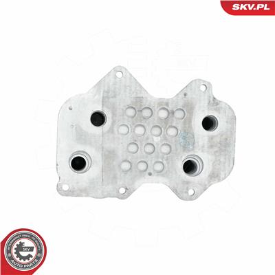 ESEN SKV 31SKV211 EAN: 5903968453435.