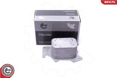 ESEN SKV 31SKV213 EAN: 5903968453459.