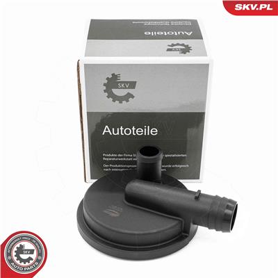 ESEN SKV 31SKV415 EAN: 5906302208012.