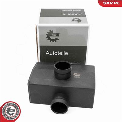 ESEN SKV 31SKV418 EAN: 5906302208043.