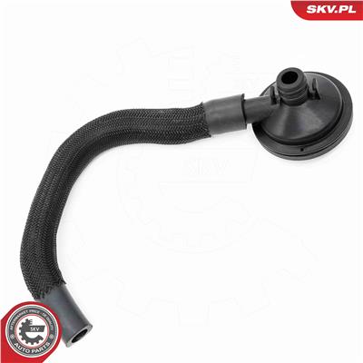 ESEN SKV 31SKV420 EAN: 5906302208067.