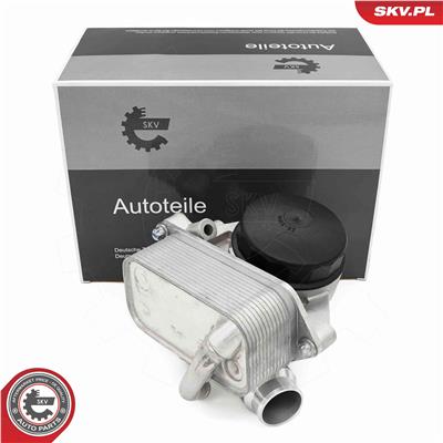 ESEN SKV 31SKV442 EAN: 5906302222056.