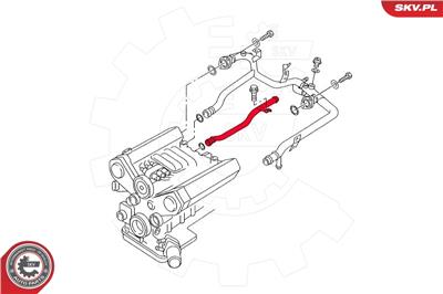 ESEN SKV 43SKV779 EAN: 5901947386286.