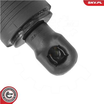 ESEN SKV 52SKV194 EAN: 5906302238965.