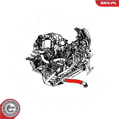 ESEN SKV 54SKV075 EAN: 5903968435073.