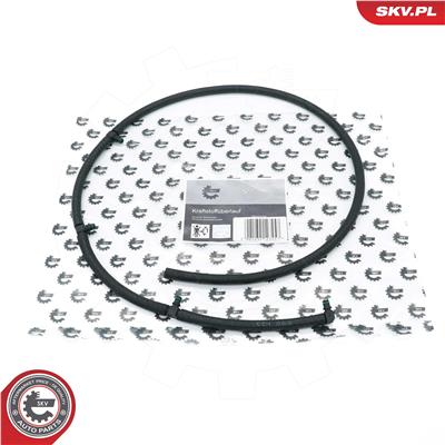 ESEN SKV 54SKV308 EAN: 5903968464080.