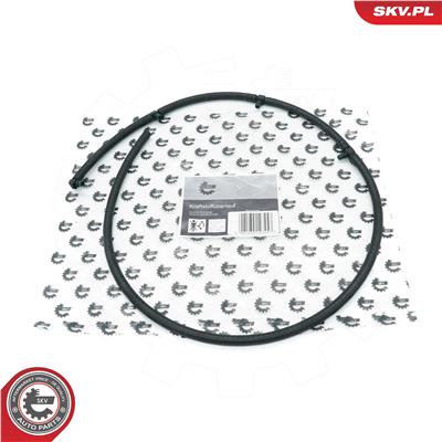 ESEN SKV 54SKV319 EAN: 5903968464196.