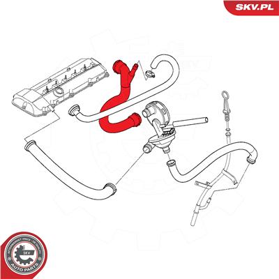 ESEN SKV 54SKV746 EAN: 5906302209774.