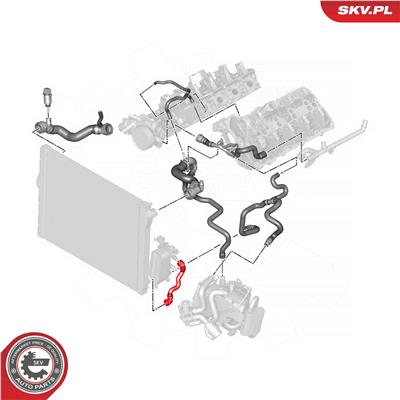 ESEN SKV 54SKV776 EAN: 5906302211210.