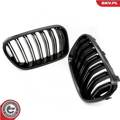 ESEN SKV 66SKV252 EAN: 5903968484118.