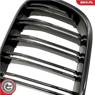 ESEN SKV 66SKV252 EAN: 5903968484118.