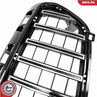 ESEN SKV 66SKV501 EAN: 5906302214372.