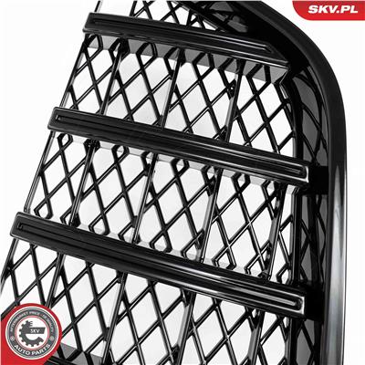 ESEN SKV 66SKV542 EAN: 5906302214785.