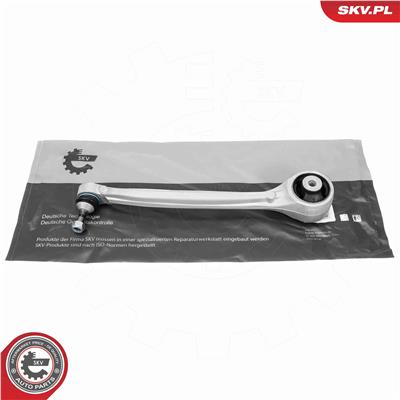 ESEN SKV 69SKV313 EAN: 5906302223442.