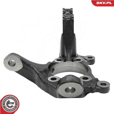 ESEN SKV 73SKV221 EAN: 5906302248162.