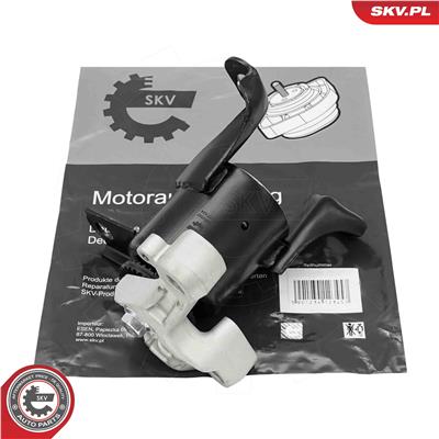 ESEN SKV 75SKV252 EAN: 5906302243747.