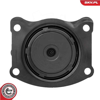 ESEN SKV 75SKV319 EAN: 5906302244416.