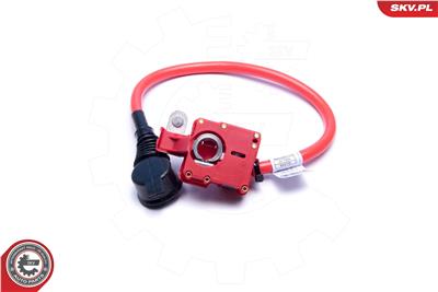 ESEN SKV 96SKV311 EAN: 5903968449681.