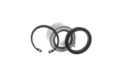 SKF VKBA 3969 EAN: 7316572815267.