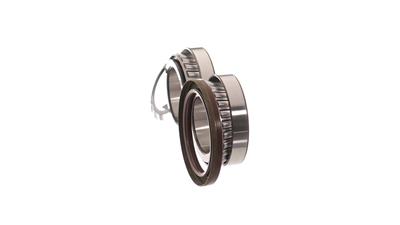 SKF VKBA 6700 EAN: 7316575167073.