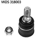 SKF VKDS 318003