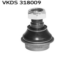 SKF VKDS 318009