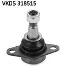 SKF VKDS 318515