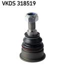 SKF VKDS 318519