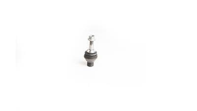 SKF VKDS 318202 EAN: 7316581953844.