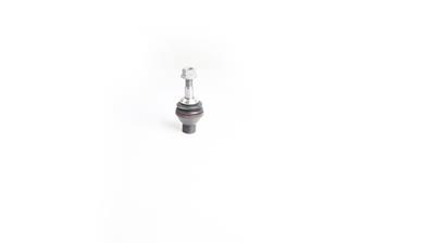 SKF VKDS 318202 EAN: 7316581953844.