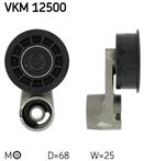 SKF VKM 12500