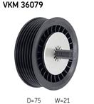 SKF VKM 36079