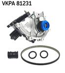 SKF VKPA 81231 Aquamax
